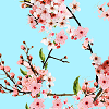 Blossoms on Soft Mint Logo